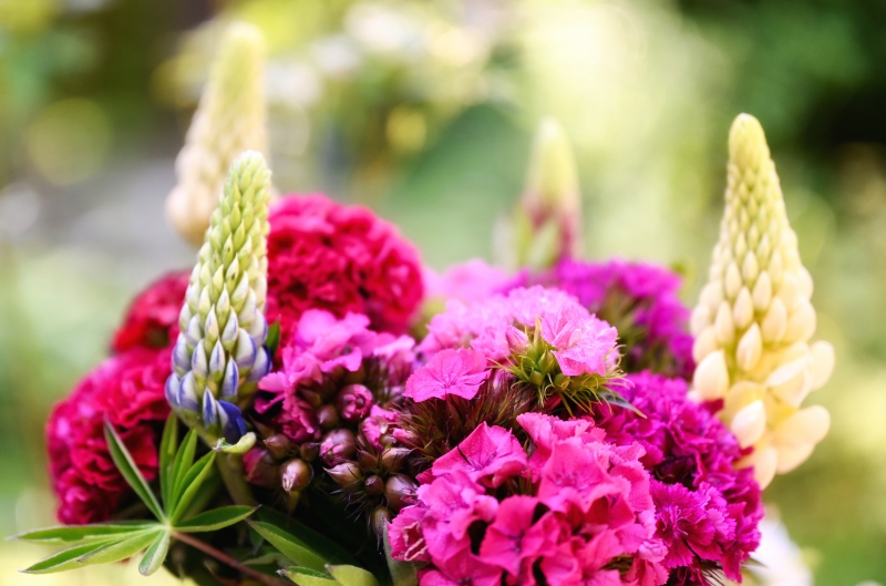 fleuriste-FLAYOSC-min_flowers-5369794